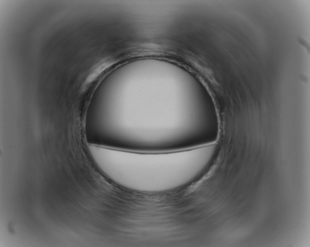 X0000097821453200803140755