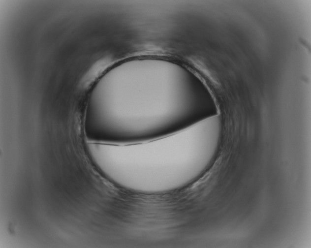 X0000097821455200803140755