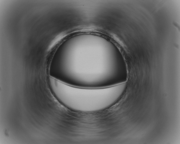 X0000097821456200803140755