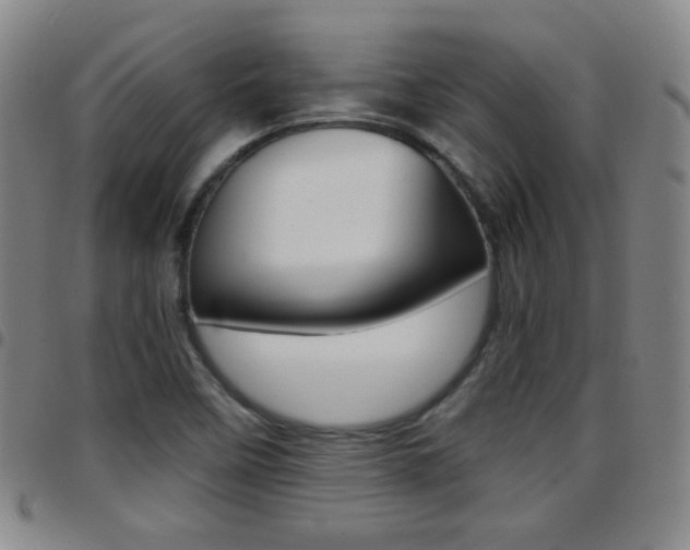 X0000097821458200803140755