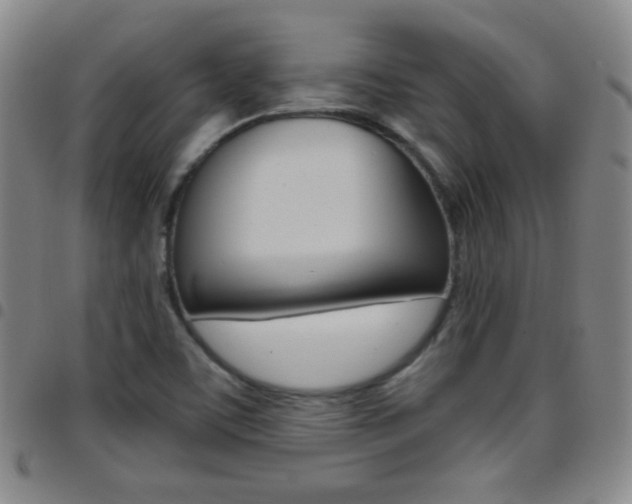 X0000097821459200803140755