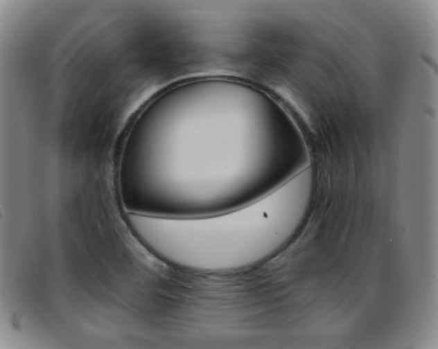 X0000097821460200803140755