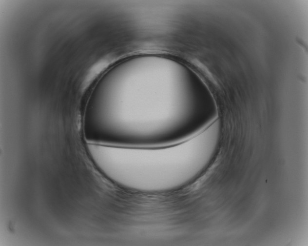 X0000097821461200803140755