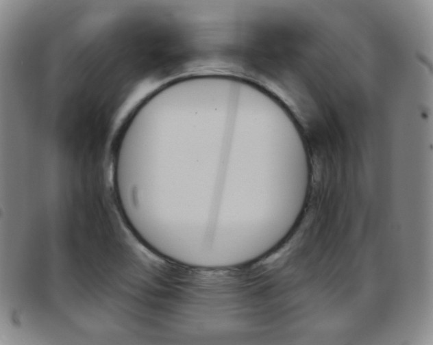 X0000097821462200803140755