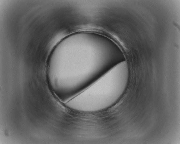 X0000097821463200803140755
