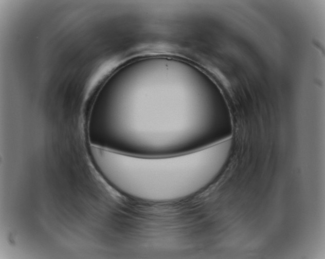 X0000097821464200803140755