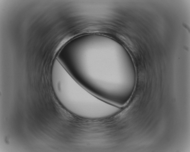 X0000097821465200803140755