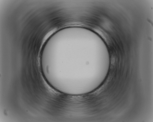 X0000097821466200803140755