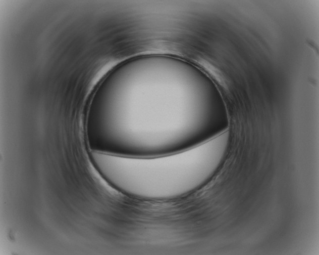 X0000097821468200803140755
