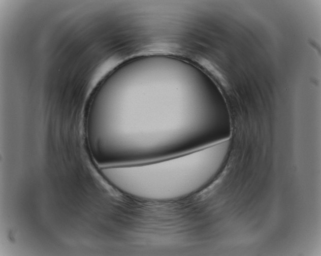 X0000097821469200803140755