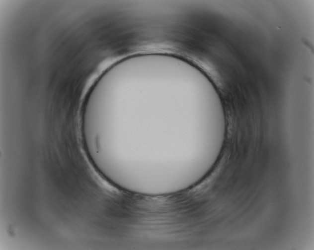 X0000097821470200803140755