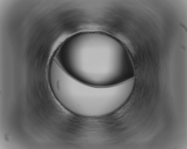 X0000097821472200803140755