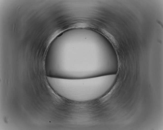 X0000097821473200803140755