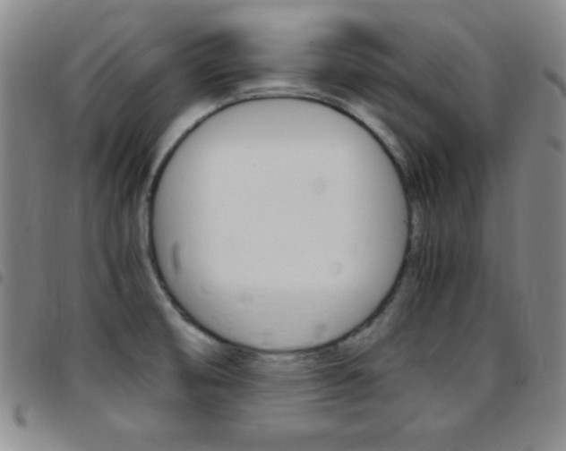 X0000097821474200803140755