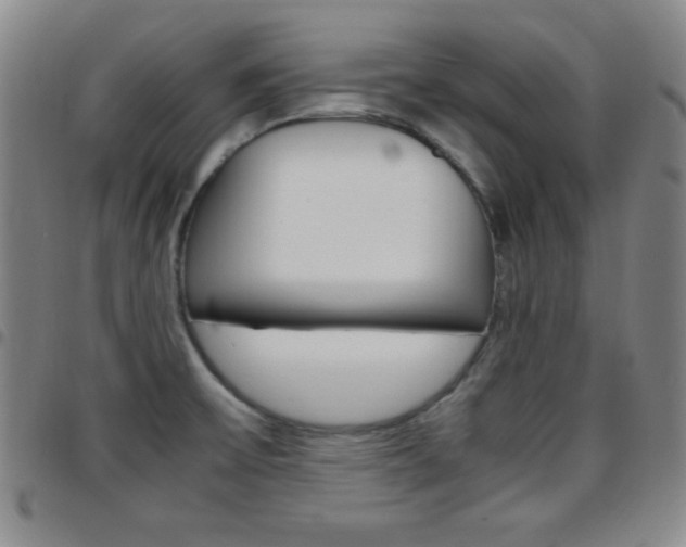 X0000097821475200803140755