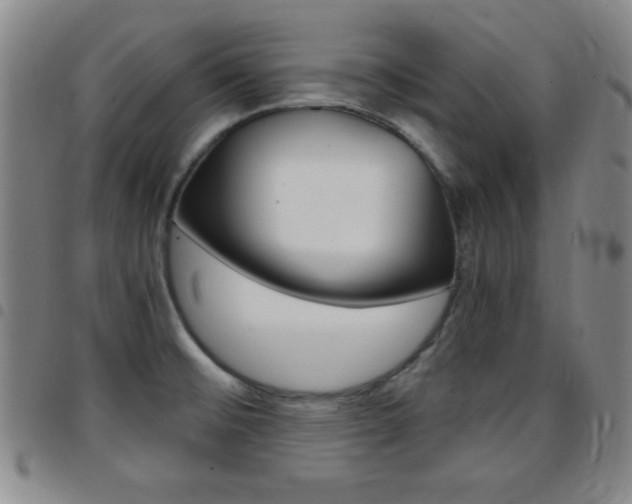 X0000097821476200803140755