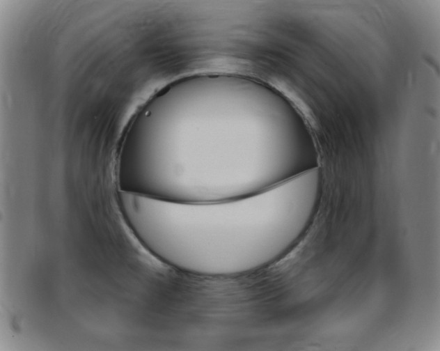 X0000097821477200803140755