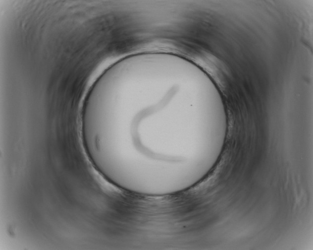X0000097821478200803140755