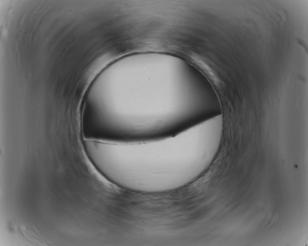 X0000097821479200803140755