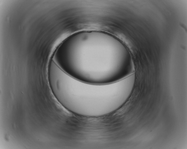 X0000097821480200803140755