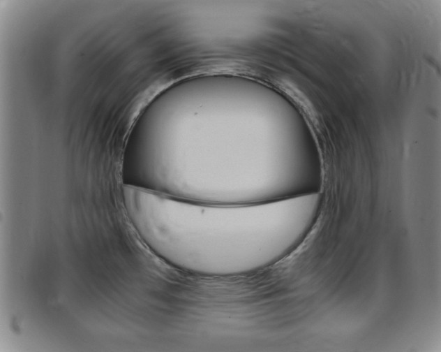 X0000097821481200803140755