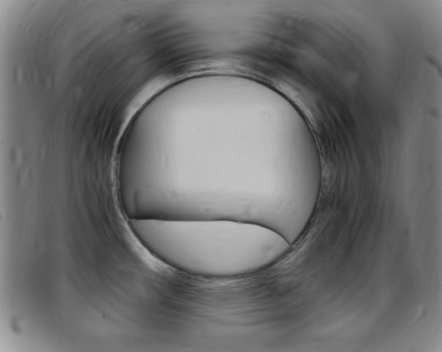 X0000097821482200803140755