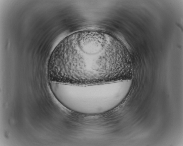 X0000097821483200803140755
