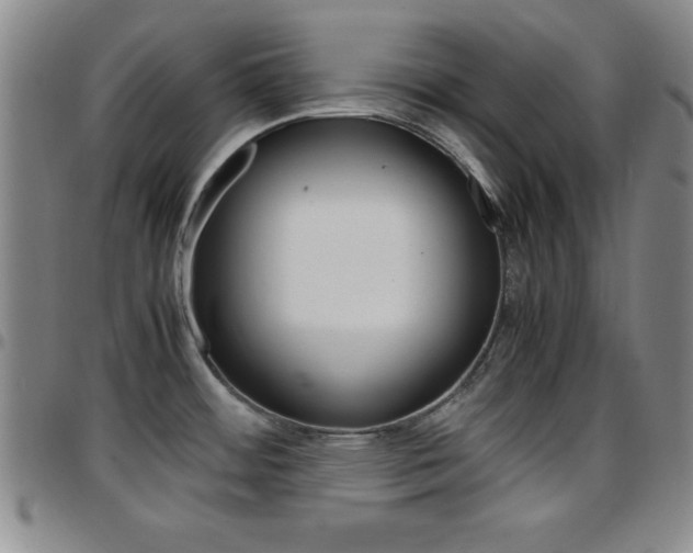 X0000097821484200803140755