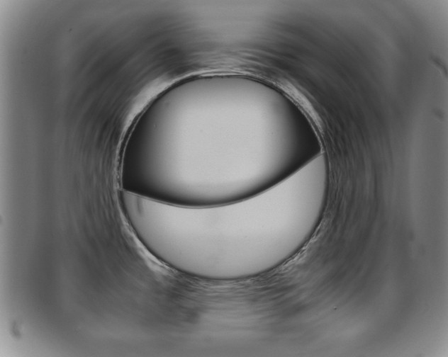 X0000097821485200803140755