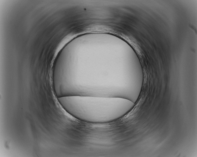 X0000097821486200803140755