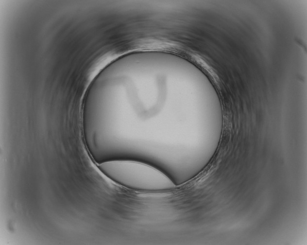 X0000097821487200803140755