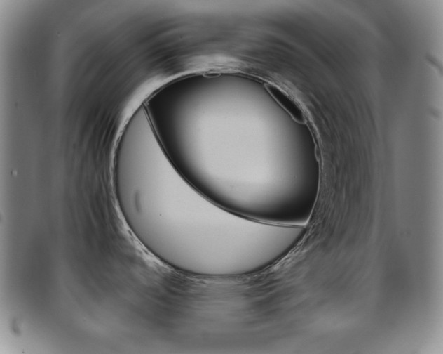 X0000097821488200803140755