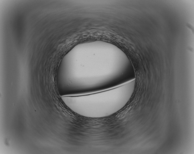 X0000097821489200803140754