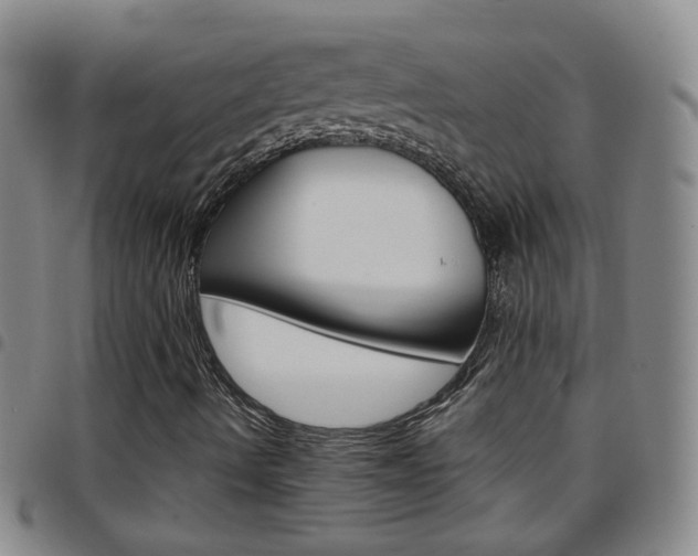 X0000097821490200803140754