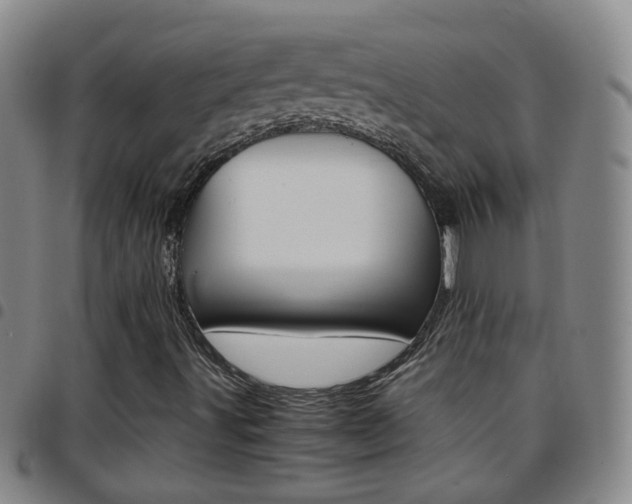 X0000097821491200803140754