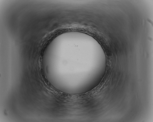 X0000097821493200803140754