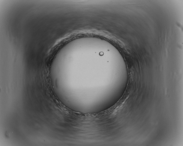 X0000097821494200803140754