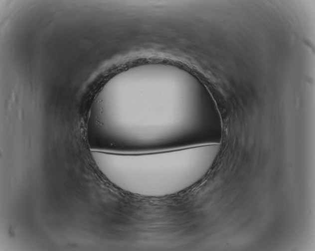 X0000097821495200803140754