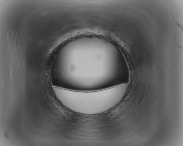 X0000097821496200803140754