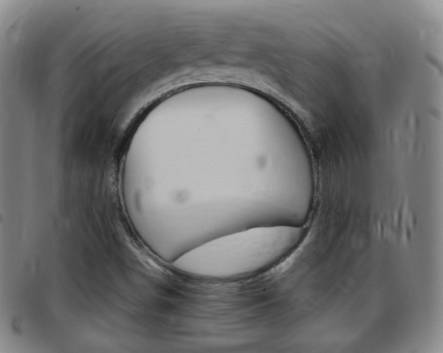 X0000097821498200803140754