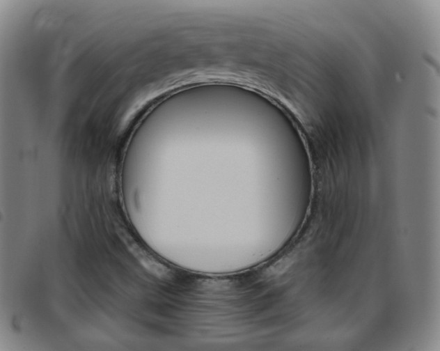 X0000097821499200803140754