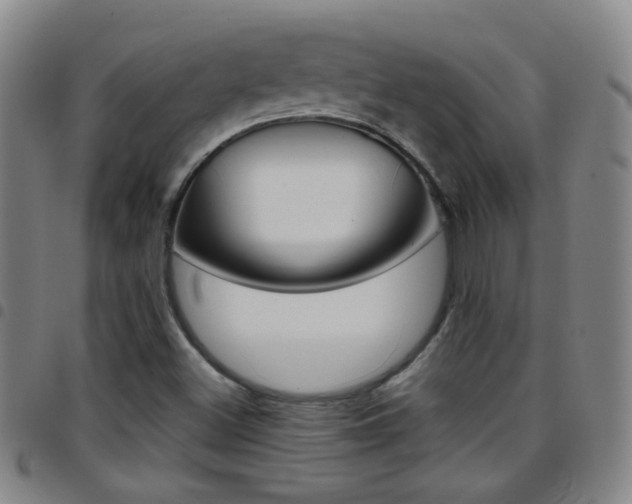 X0000097821500200803140754