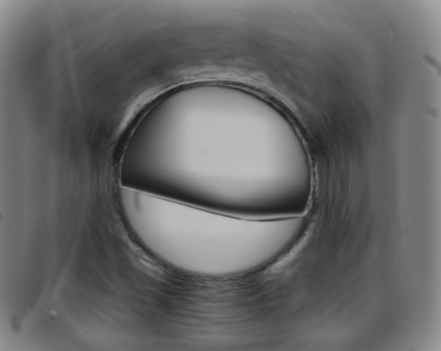 X0000097821501200803140754