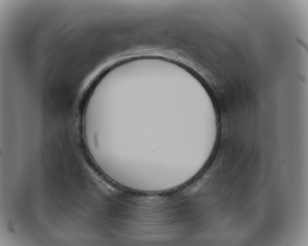 X0000097821502200803140754