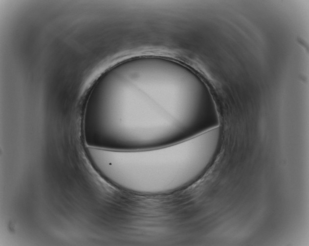 X0000097821504200803140754