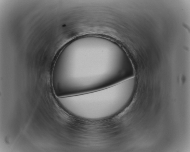 X0000097821505200803140754
