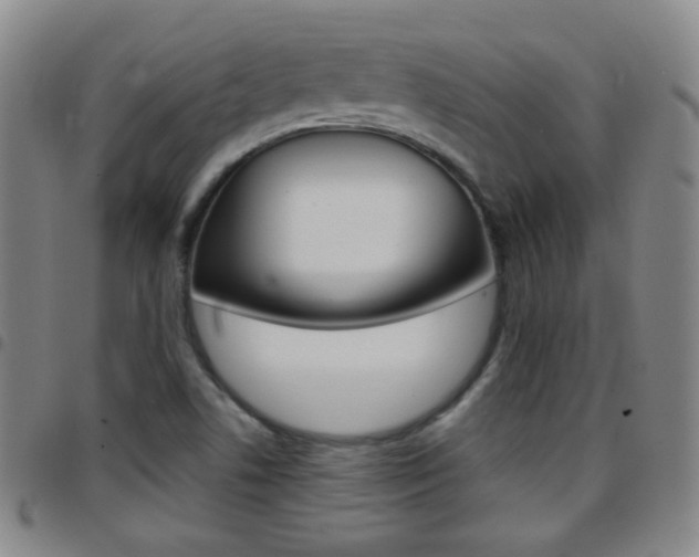 X0000097821506200803140754