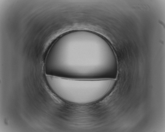 X0000097821507200803140754