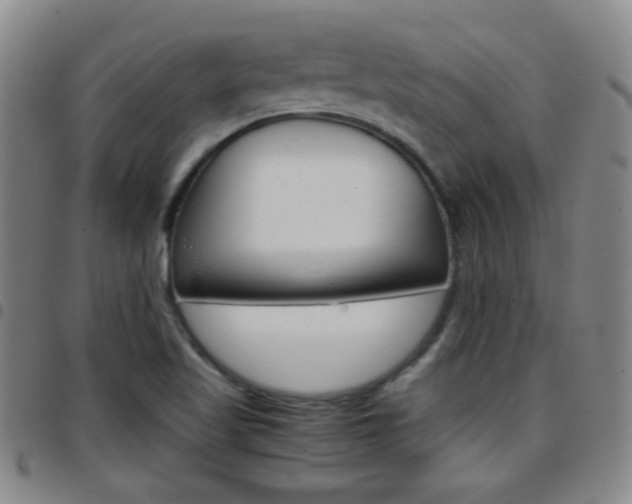 X0000097821509200803140754
