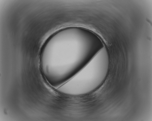 X0000097821511200803140754